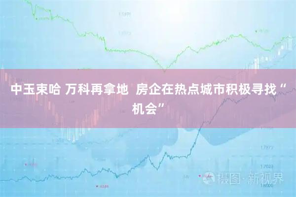 中玉束哈 万科再拿地  房企在热点城市积极寻找“机会”