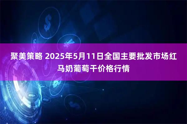 聚美策略 2025年5月11日全国主要批发市场红马奶葡萄干价格行情