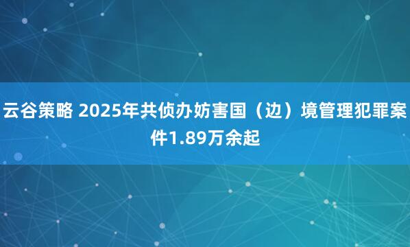 云谷策略 2025年共侦办妨害国（边）境管理犯罪案件1.89万余起