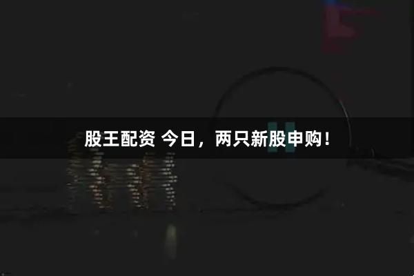 股王配资 今日，两只新股申购！